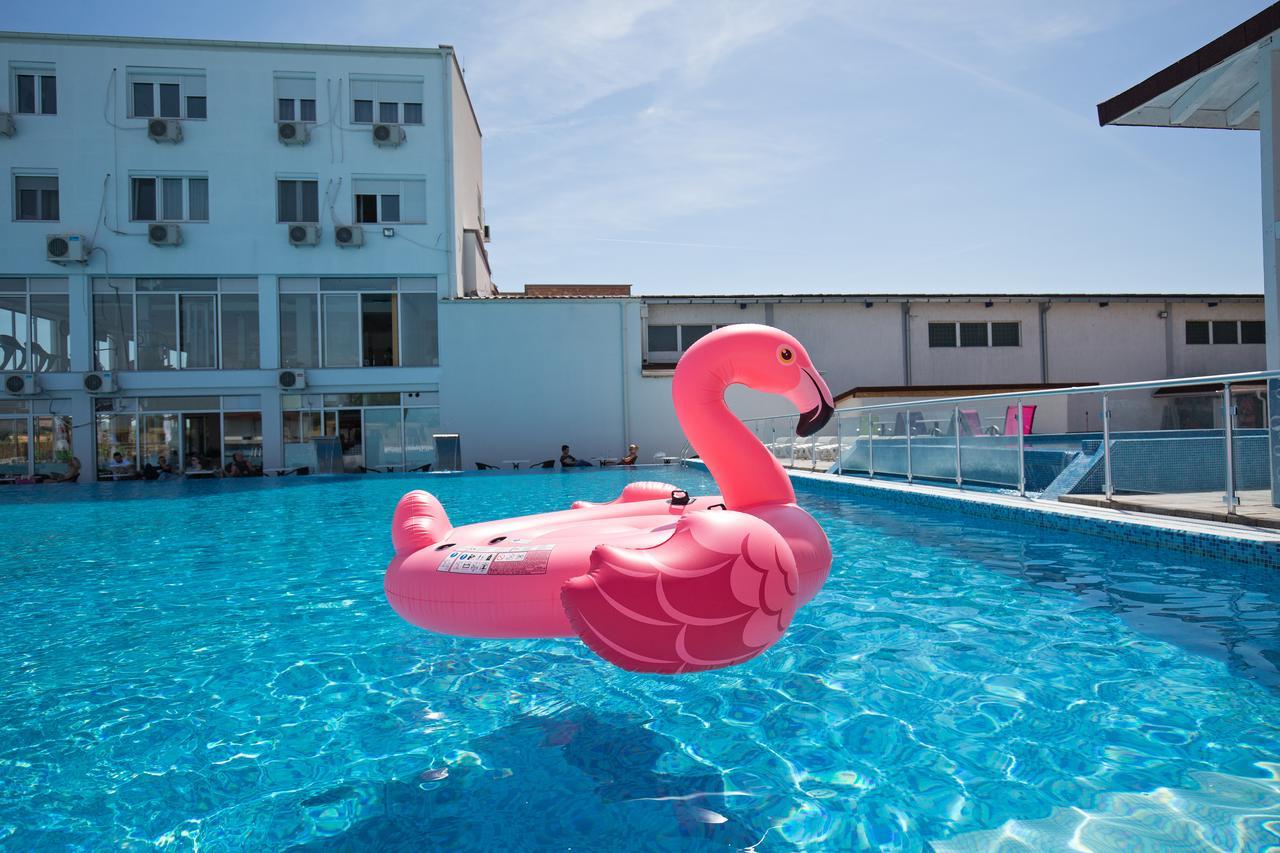 Flamingo 3*